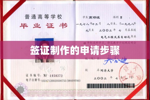 甘孜签证制作的申请步骤