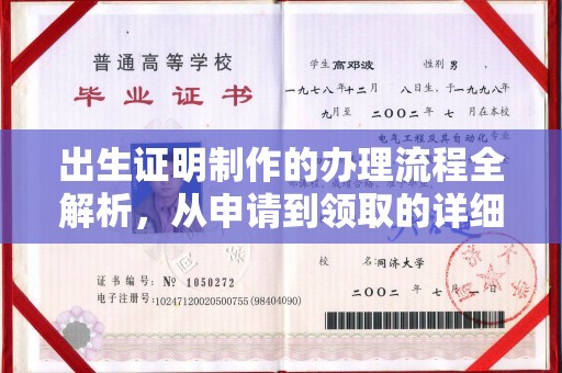 甘孜出生证明制作的办理流程全解析，从申请到领取的详细指南