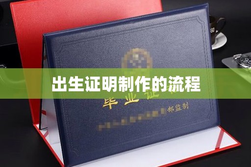甘孜出生证明制作的流程